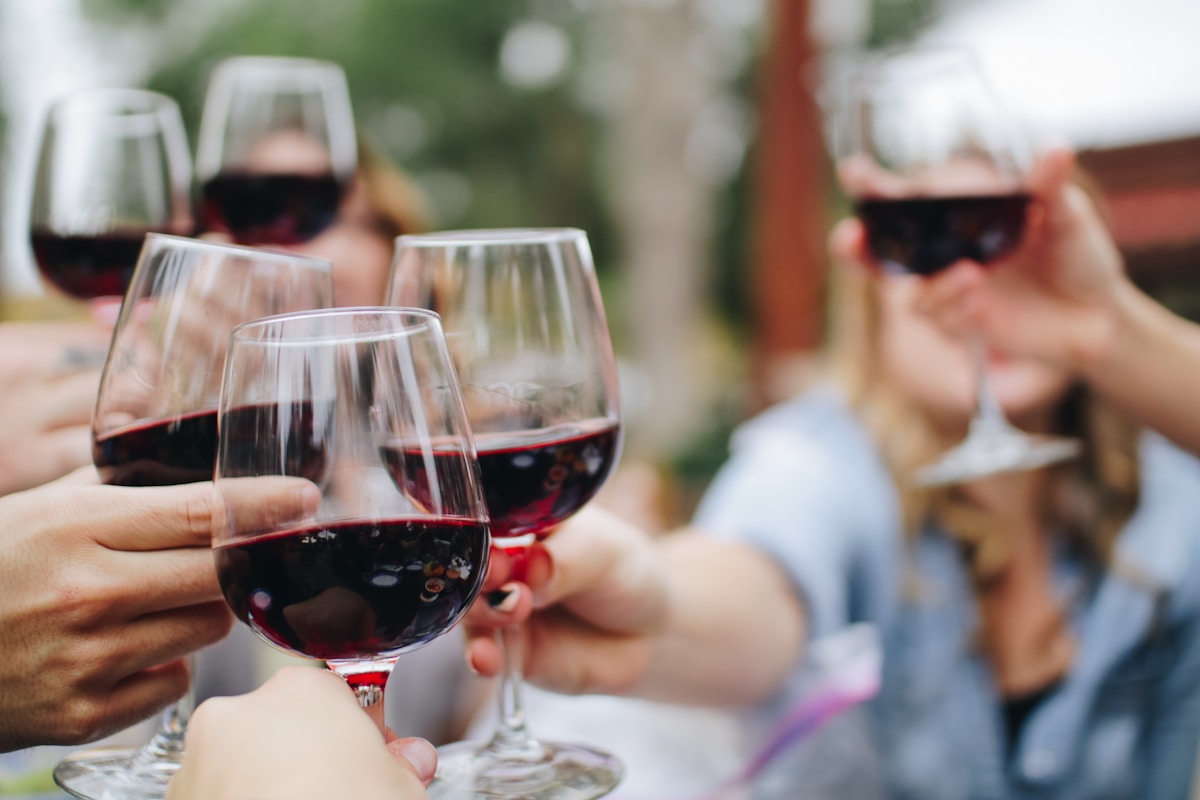 Vale do Douro - Vinhedos em Socalcos